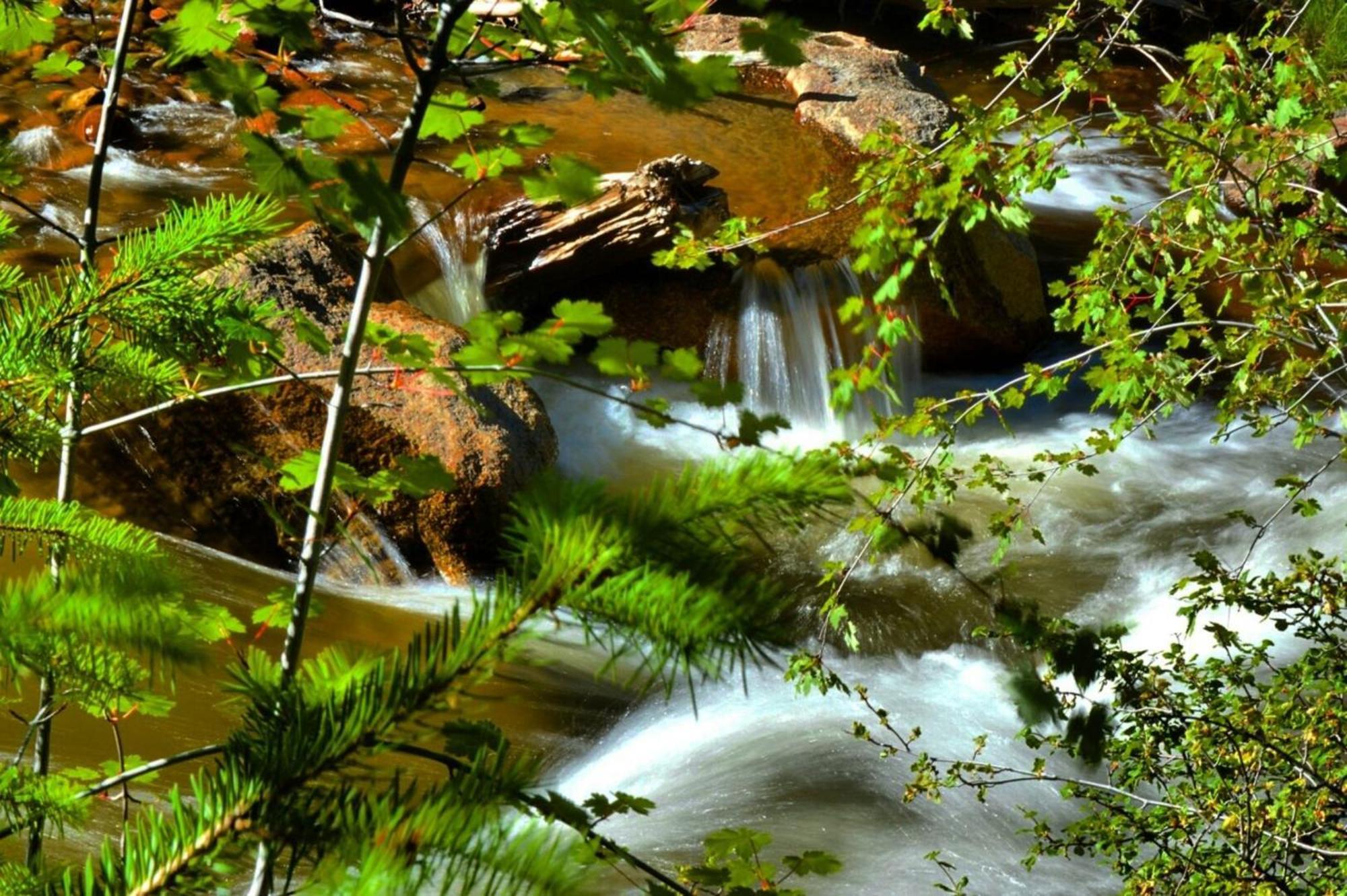 Stonebrook Resort - Adult Only Estes Park Dış mekan fotoğraf